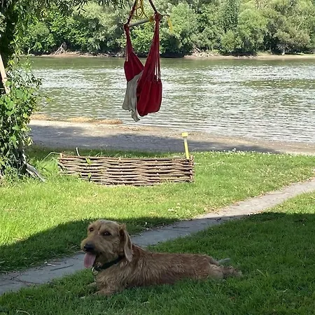 Danube Lupa Island Home-close To Budapest