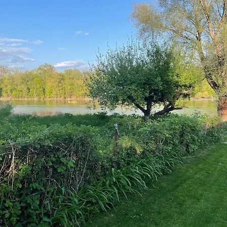 Danube Lupa Island Home-close To Budapest Holiday home Budakalasz
